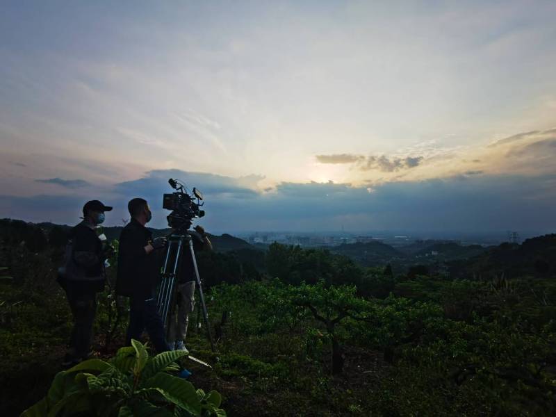 聚焦东川区产品宣传视频拍摄公司，用专业实力铸就品牌传播传奇