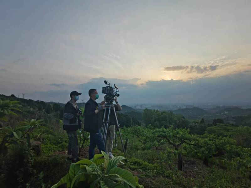 创意破圈！东川区电商产品宣传视频用故事化叙事引爆流量