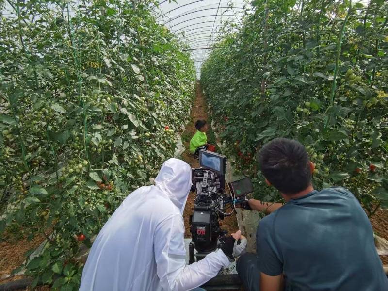 东川区产品宣传视频拍摄公司进阶指南，助力品牌抢占传播高地